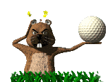 gopher_hit_by_golf_ball_lc
